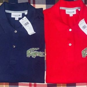 Two Lacoste "big croc" regular